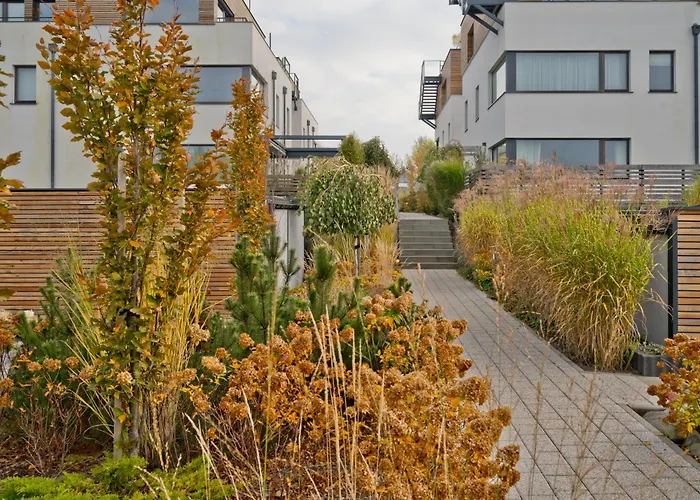 Anchoria Prestige Blueapart 梅彻林基