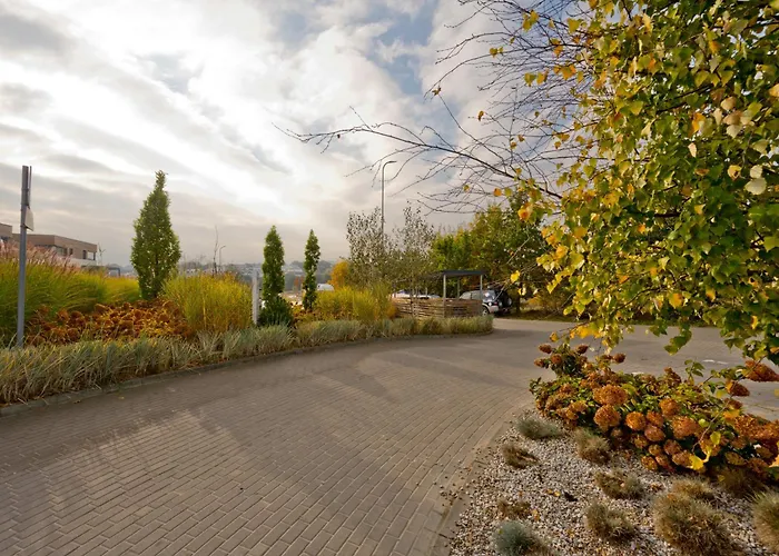 Anchoria Prestige Blueapart * 梅彻林基